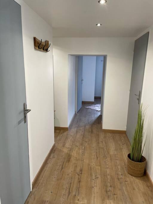 Logement Idealement Situe Sur La Voie Verte Celles-sur-Plaine 외부 사진