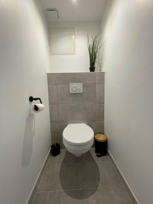 Logement Idealement Situe Sur La Voie Verte Celles-sur-Plaine 외부 사진